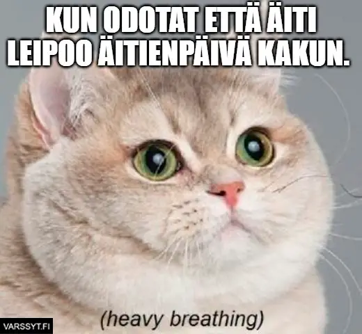 Äitienpäivä Meemit 