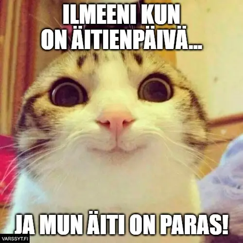 Äitienpäivä Meemit 