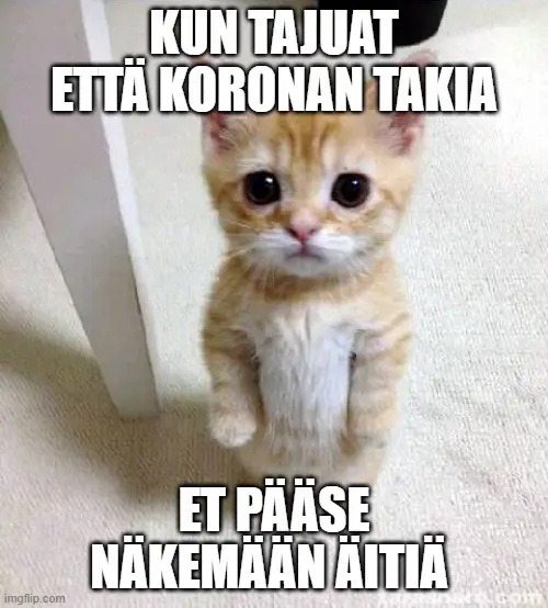 Äitienpäivä Meemit 