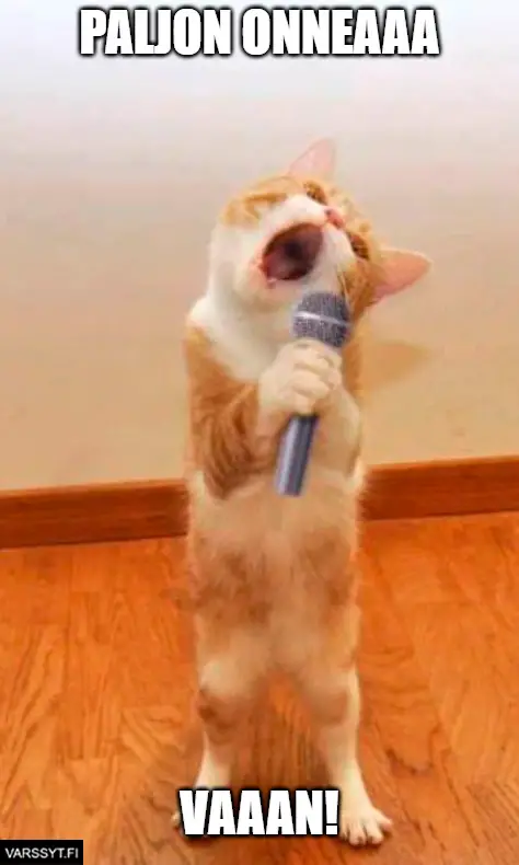 Syntymäpäivä meemi äitienpäivämeemi kissa laulaa mikrofoniin