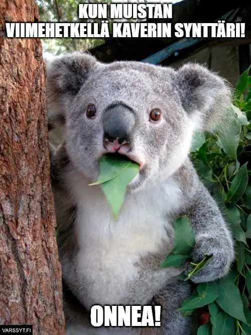 Syntymäpäivä meemi koala muistaa viime hetkellä kaverin synttärit onnea